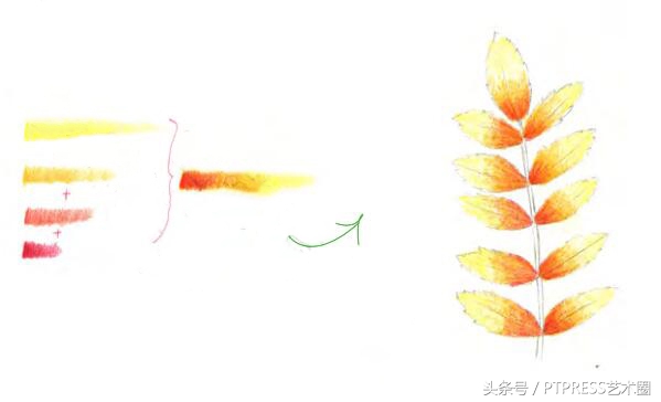 色铅笔技法｜想学铅笔画的看过来，6种线条+3种渐变色初级教程！