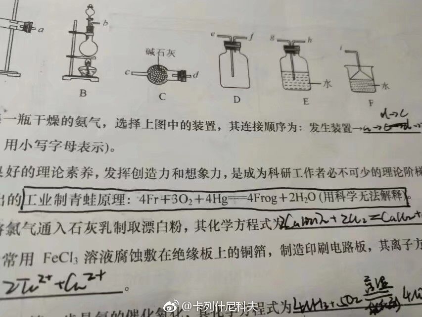 旅行青蛙不回家？老师教你工业暴力制取！