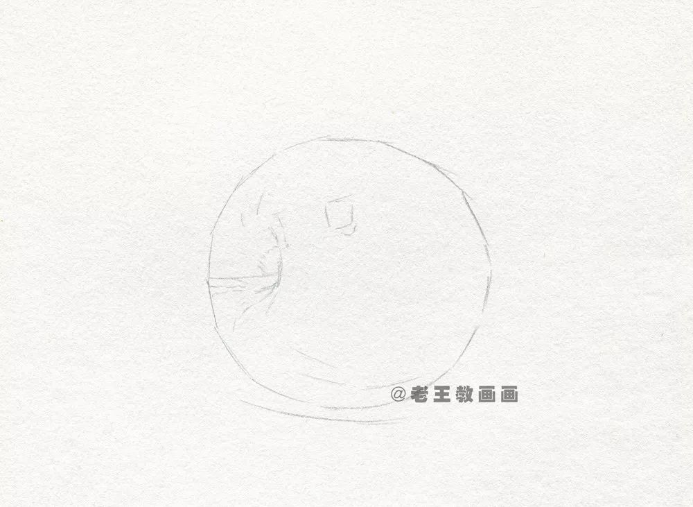 教你画素描苹果；简单易学的绘画教程