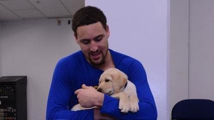 nba明星卡小狗为什么要剪(谁是NBA最爱狗的球星？汤神为爱犬抛弃库里，科比给狗过生日)