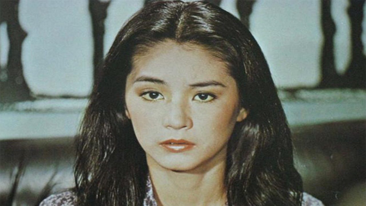 1973年饰演《窗外》女主角江雁容,从而一夜成名并迅速跃居为当时的