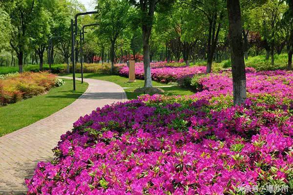 一套房子4亿！2018年昆山最贵的学校、小区、地块……长见识了