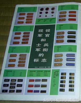 87式军衔标志的几套方案，你觉得哪个好看？