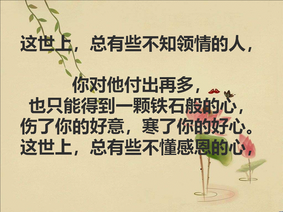 别惯坏，不领情的人；别喂饱，不感恩的心（字字箴言，句句精辟）