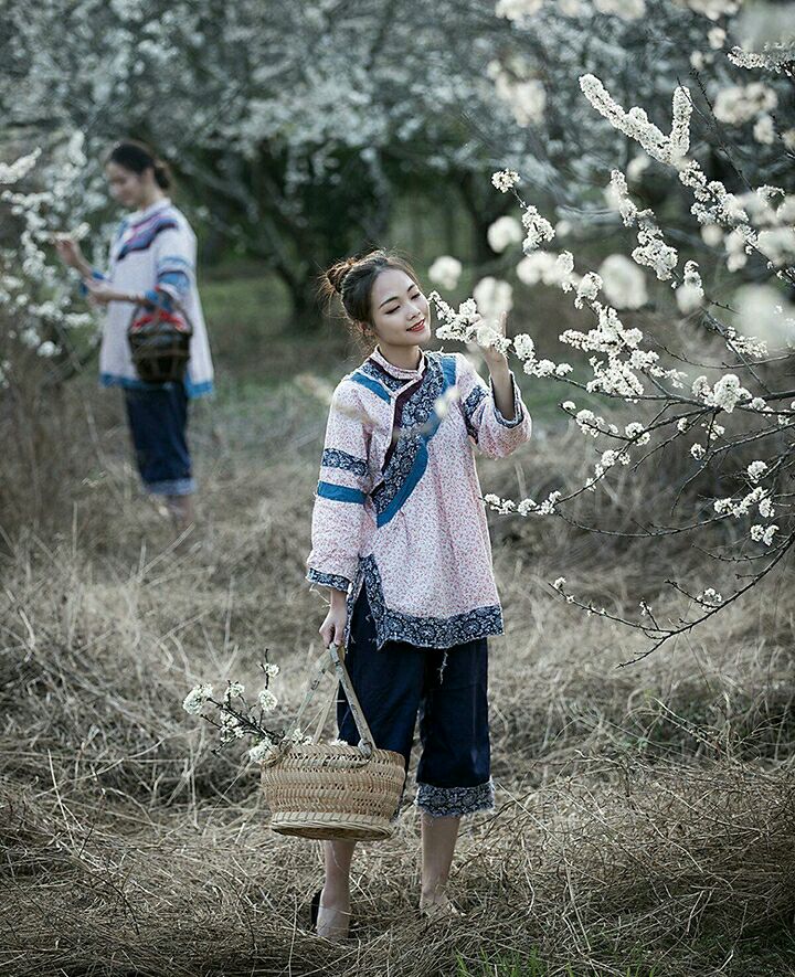 那年，李子花开