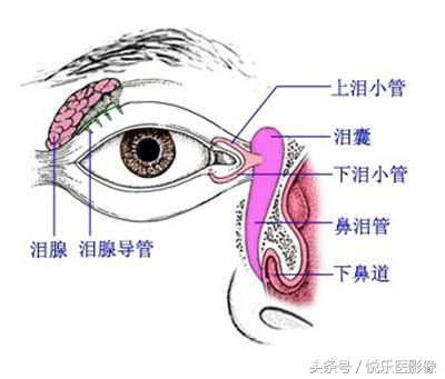 怎样给新生宝宝滴眼药？先了解新生儿眼部常见疾病，后用药为上策