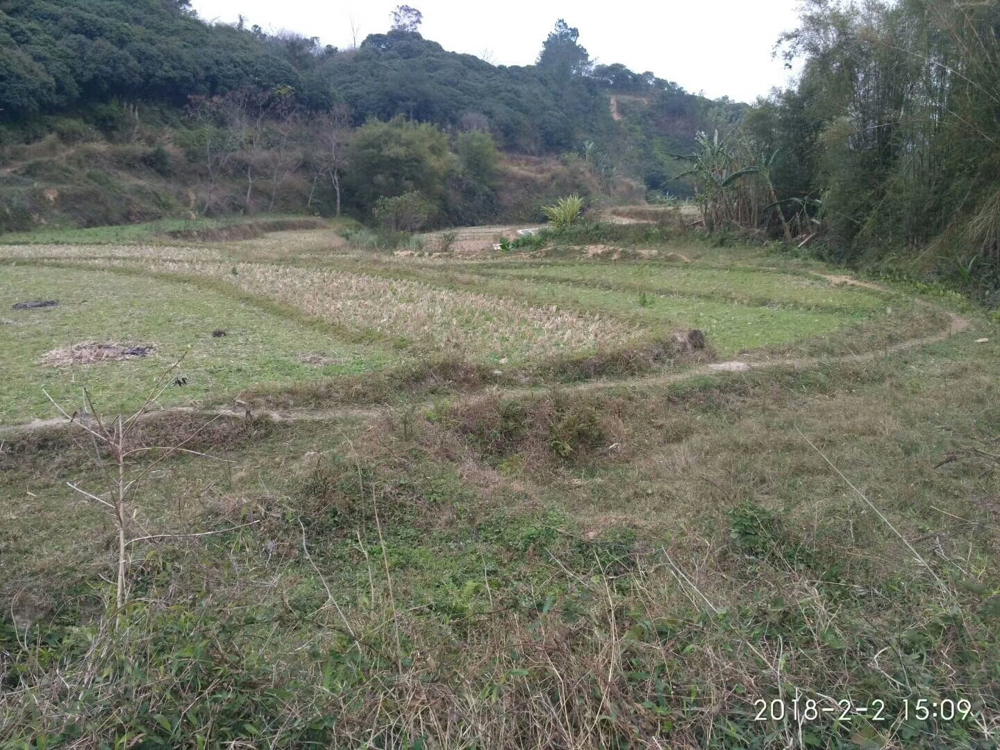 阴宅风水宝地"老牛奔草“膊为圆晕颈作穴