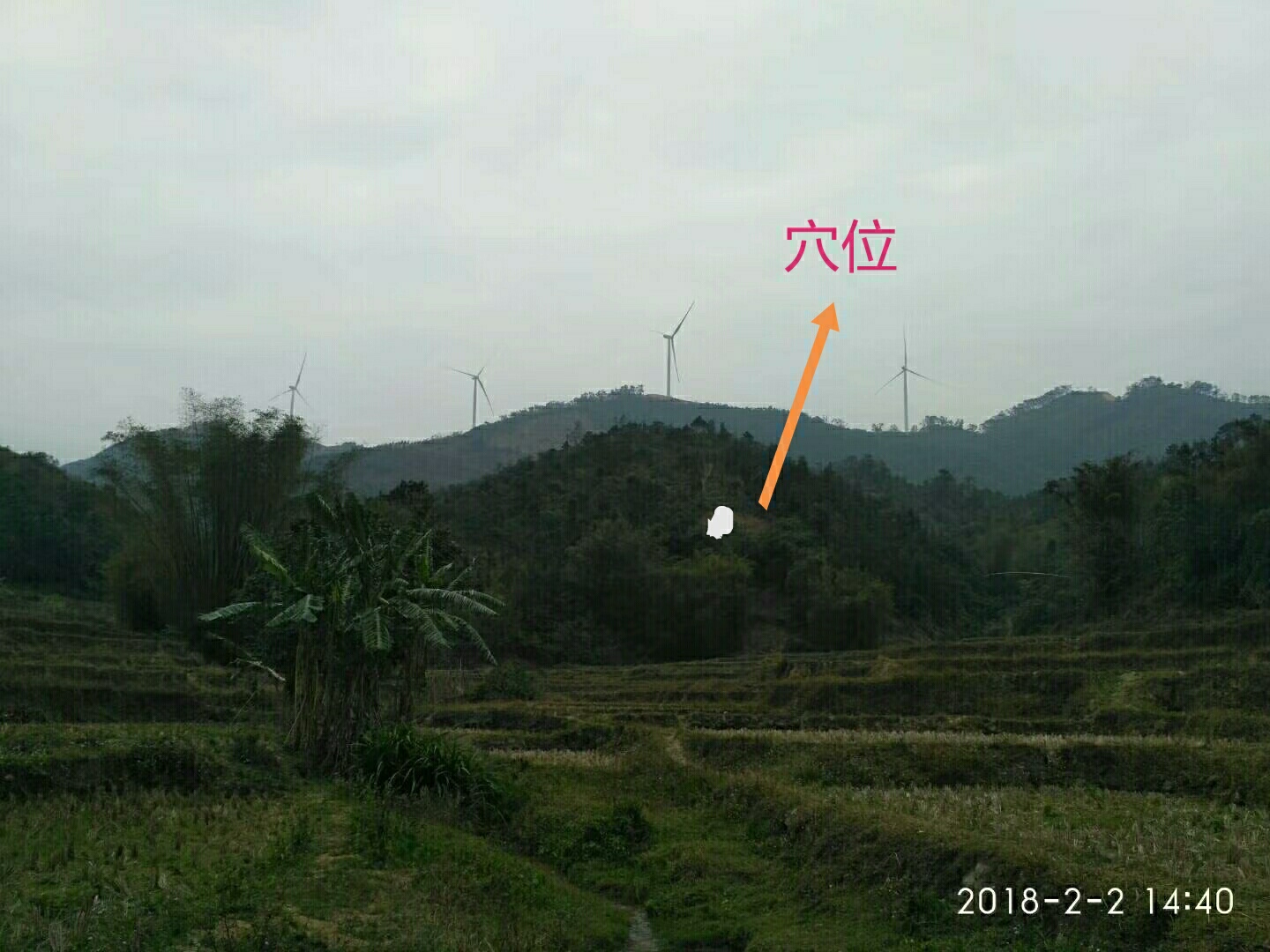 阴宅风水宝地"老牛奔草“膊为圆晕颈作穴