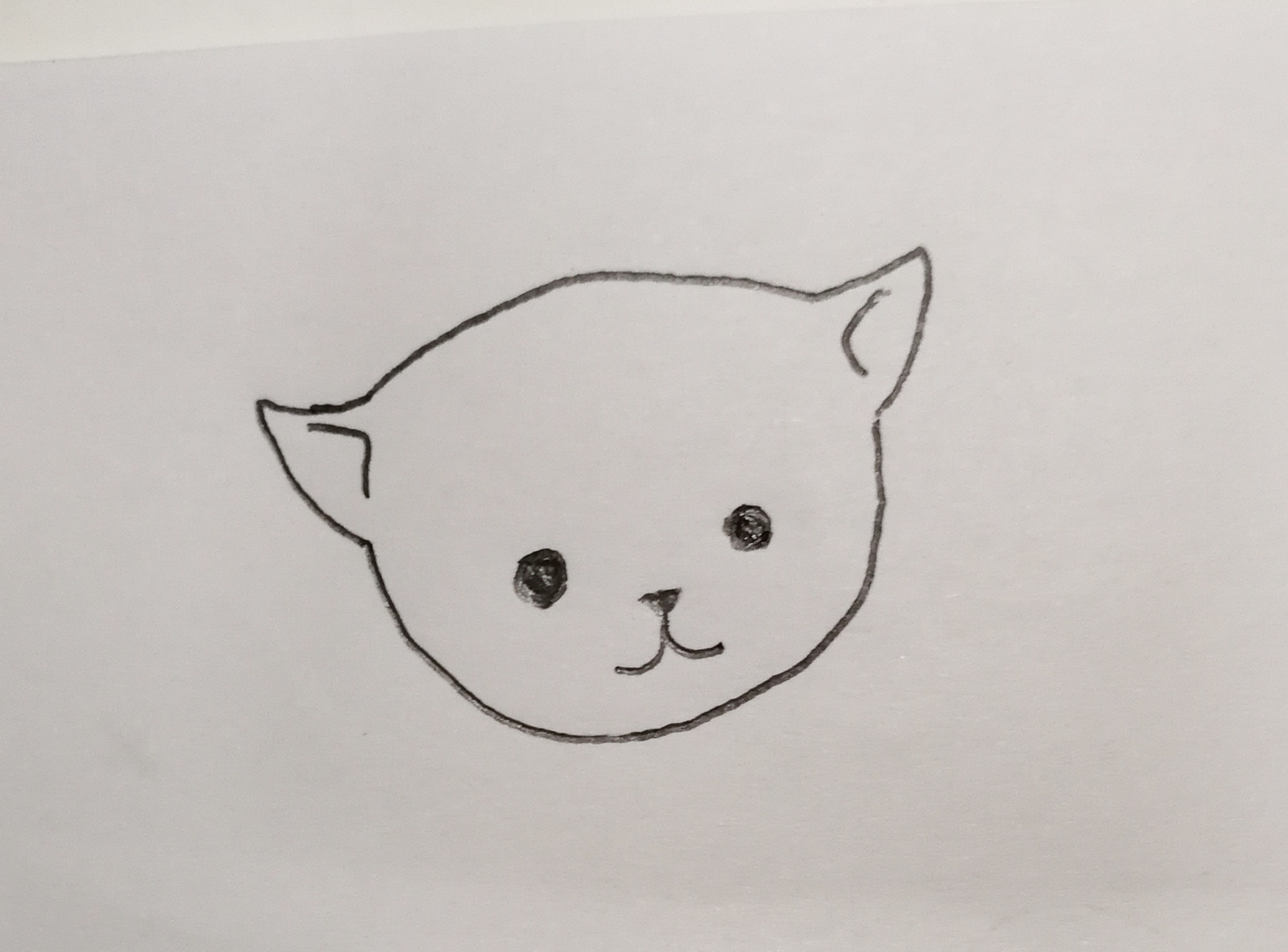 小猫咪简笔画教程：轻松几步画出可爱小猫