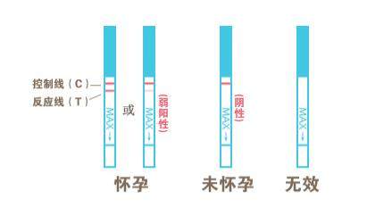 测孕纸多少天可以测出来  测孕纸的正确使用方法