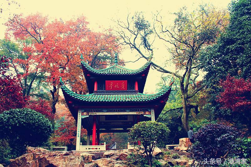 与其他985，双一流大学相比，在长沙的湖南大学有哪些独特优势？