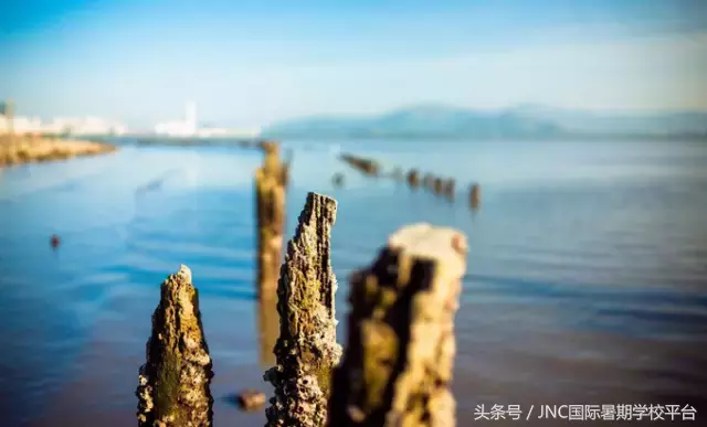 暨南大学暑期学校深圳校区简介