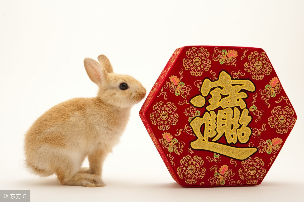 1999属兔男运势 1999年属兔什么性格 - 时代开运网