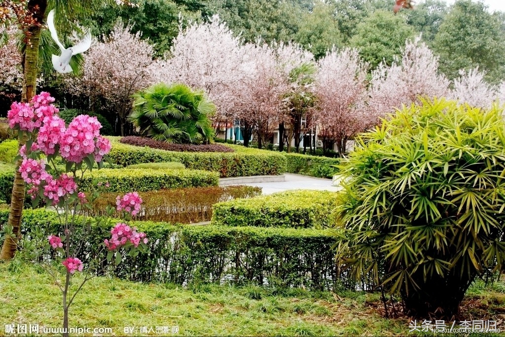 大学生恋爱调查报告——游戏式爱情人群的爱情三角与依恋模式