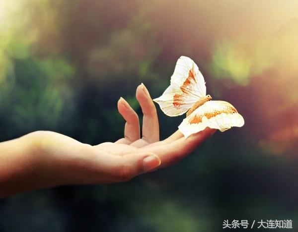 时光流转中的惆怅之美