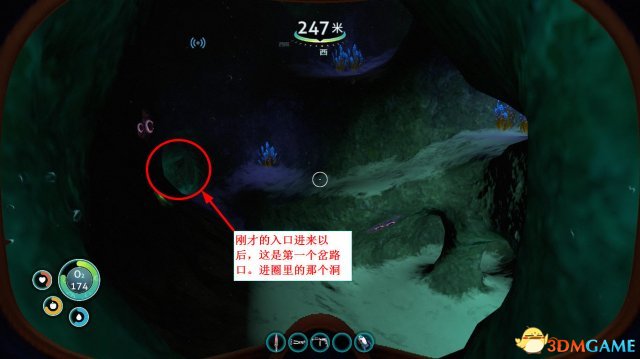 美丽水世界全抱抱鱼蛋位置介绍