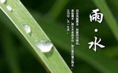 天将化雨舒清景，萌动生机待绿田