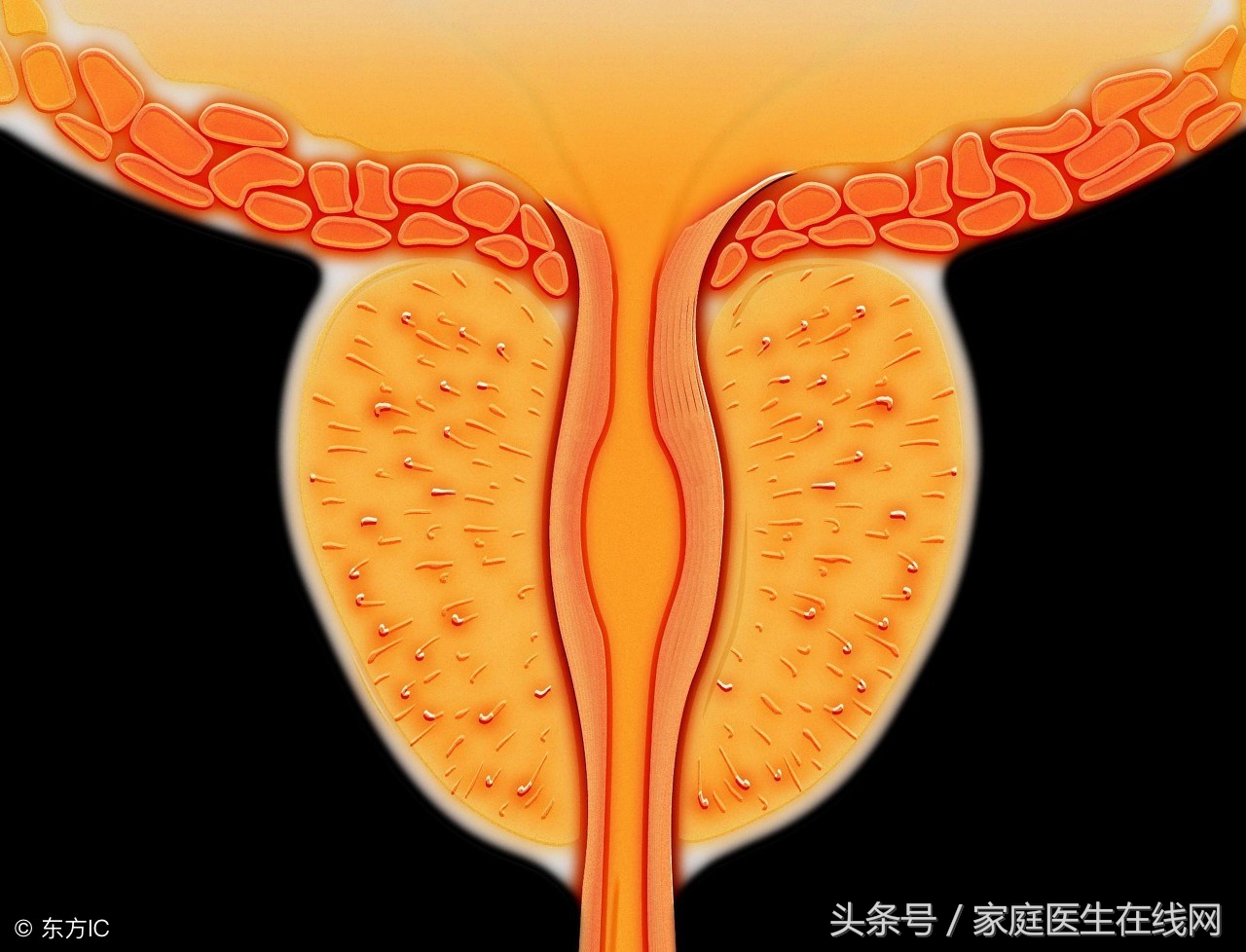 尿意来了别总是憋着，不然这个大病找上门，再后悔就晚了