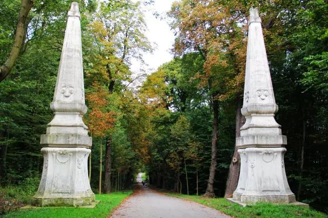 只知道"挪威森林"太初级,我来说说维也纳森林