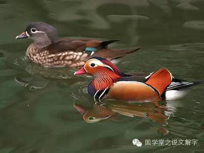 说文解字：寻“欢”作乐