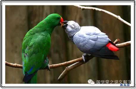 说文解字：寻“欢”作乐