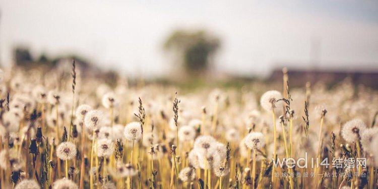 男人自私不顾家的说说