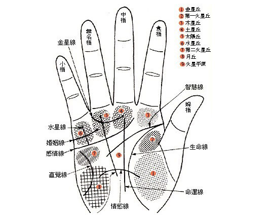 掌心有痣会不会发大财     一辈子幸福