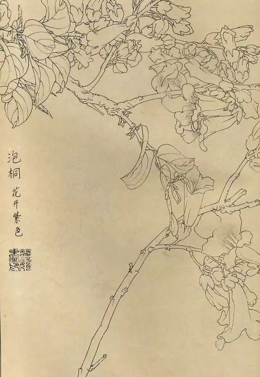 百花齐放，兰花、牵牛花、玫瑰花等，花卉白描图谱合集