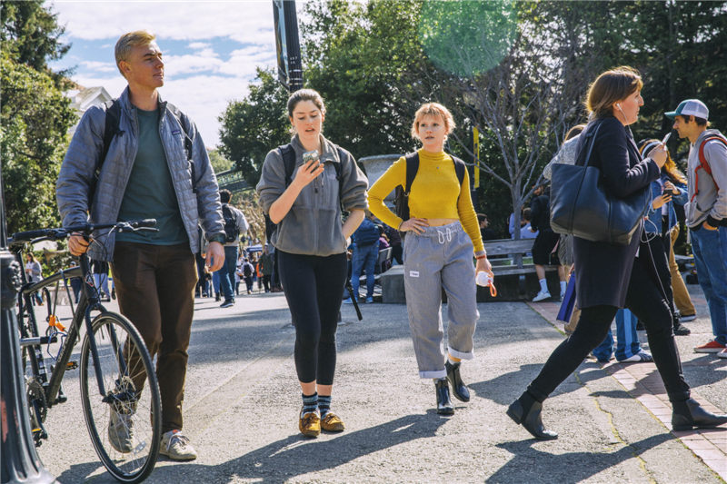 惊奇时刻：行走于数学的风景中