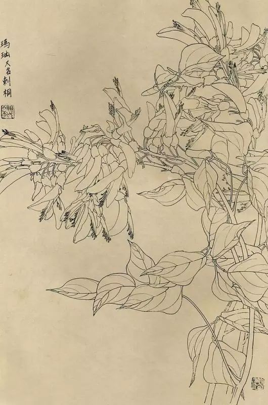 百花齐放，兰花、牵牛花、玫瑰花等，花卉白描图谱合集