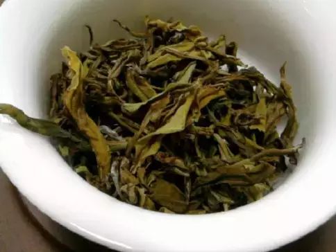 杀蟑螂最有效的方法（教你17种方法消灭家里的蟑螂蚊子）