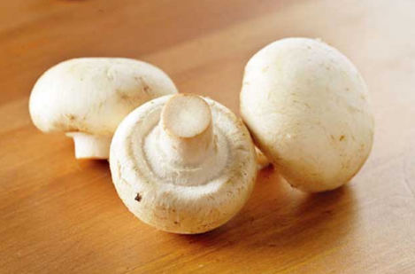 而菌体有弹性无异味,这样的口蘑还是可以吃的,只是营养价值会有所降低