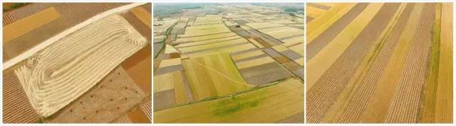 马上毕业，唐山的高三生你们还撕书吼楼吗？