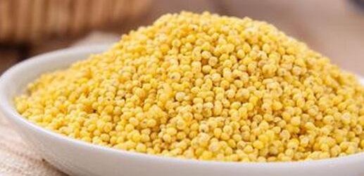 黄米的功效和作用 吃黄米的用途