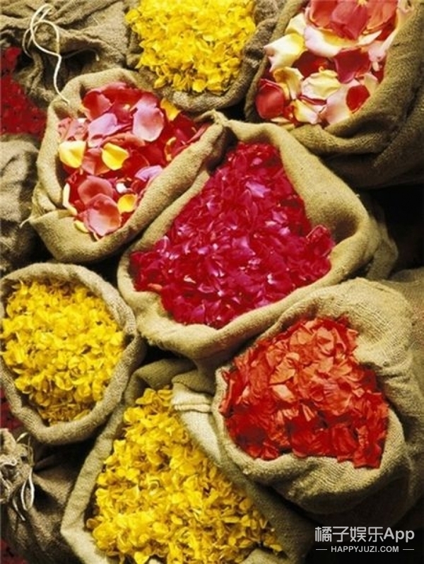 别只知道花香和果香 选香水你要知道有这6大香调