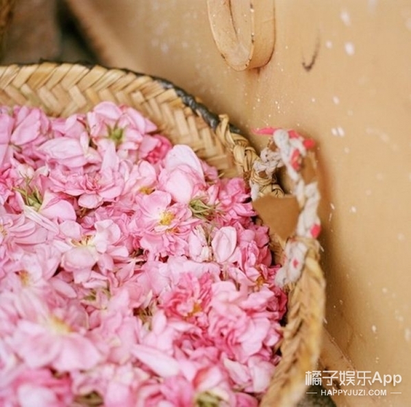 别只知道花香和果香 选香水你要知道有这6大香调