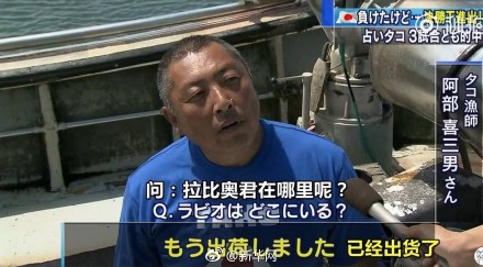 成功预测世界杯的章鱼(一个悲伤的故事！日本“章鱼哥”成功预测三场比赛，然后被摊主煮熟出货了)