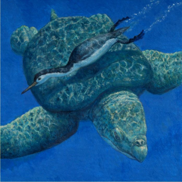 古巨龟有多大(西部内陆海之歌古巨龟简介)