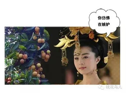 原创 | 林平之的历代同行们（不练辟邪剑谱时）在做啥？