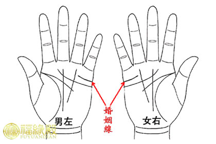 如何从掌纹看姻缘_达一风水网