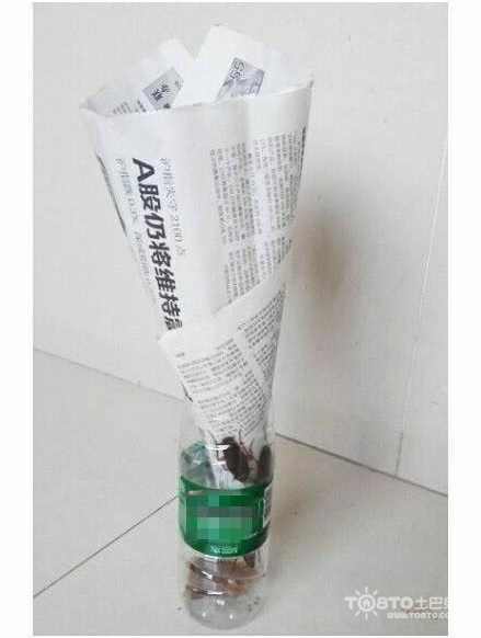 蟑螂捕捉器蟑螂诱捕器