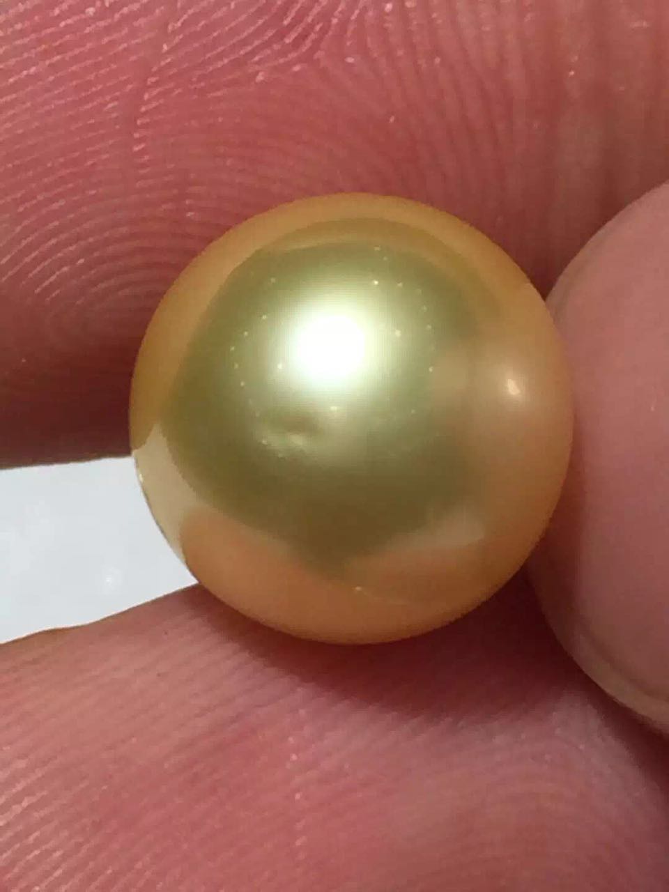 一颗金色珍珠值多少钱金色珍珠是天然的吗