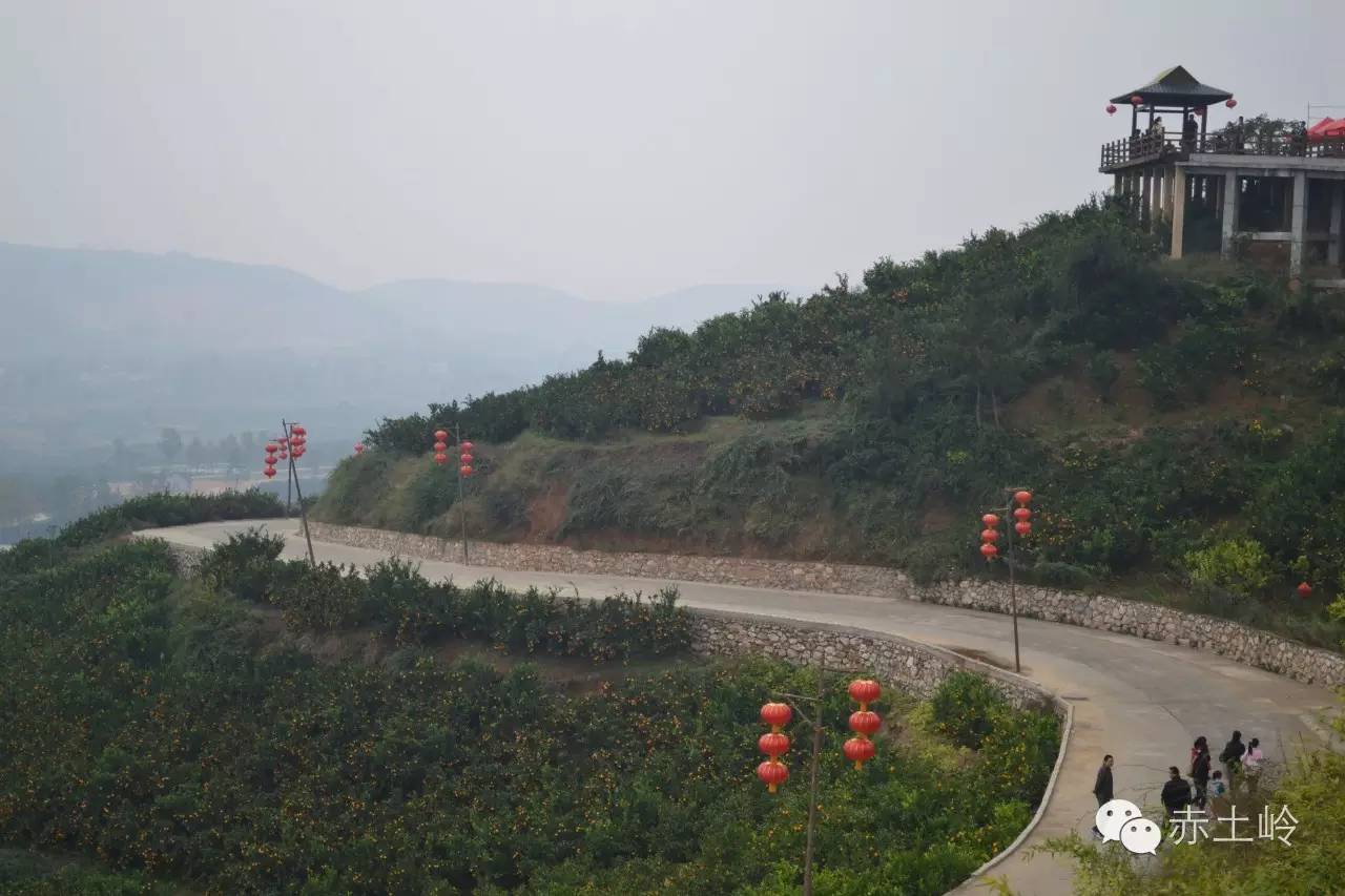 刘芳汉上泛舟飞天仙境在橘乡