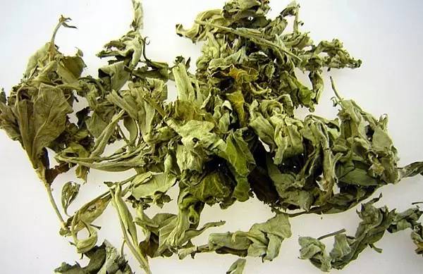 杀蟑螂最有效的方法（教你17种方法消灭家里的蟑螂蚊子）