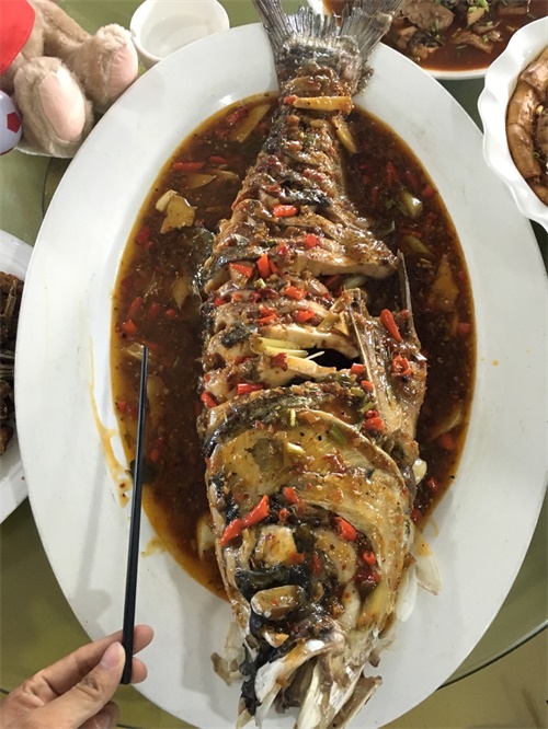 当一天名爵锐腾车主 体验MGCC独特文化