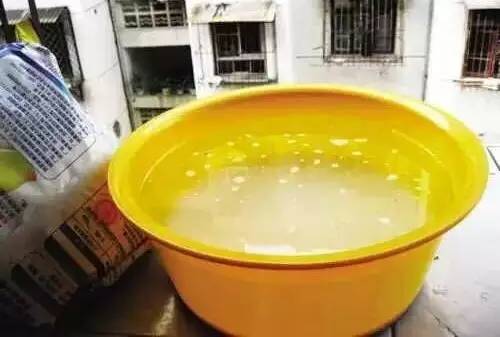 杀蟑螂最有效的方法（教你17种方法消灭家里的蟑螂蚊子）