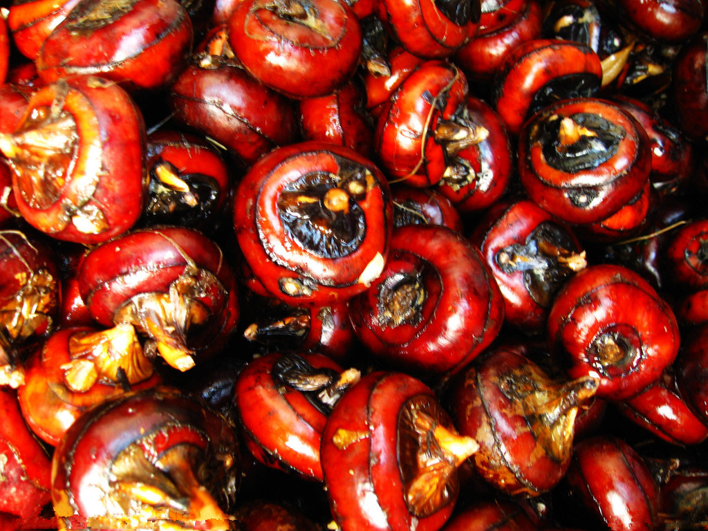 荸荠,常被读错的蔬菜,可以预防麻疹,降血压,还能治痔疮-380度知识分享