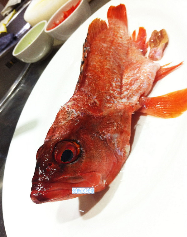 石斑鱼图鉴手册:从历史文献到品种概说,从市场食材到烹饪方法