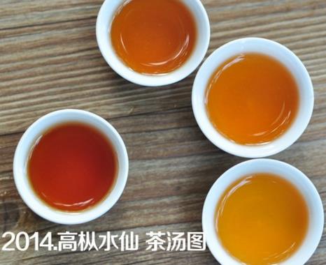 老枞是什么茶（一篇文章教你秒懂岩茶水仙老枞和高枞）