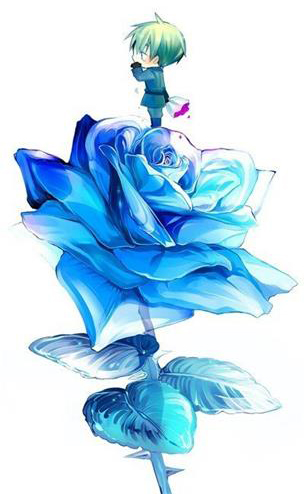 蓝色妖姬的花语是什么意思？花语代表清纯的爱 5